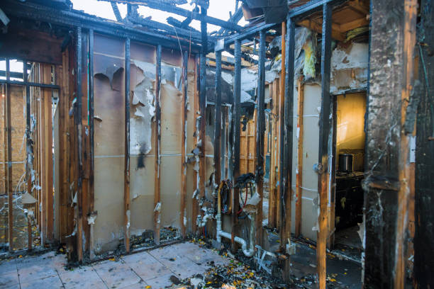 Professional Fire Damage Removal technician working in Winter Garden, FL