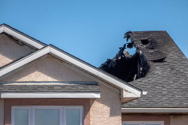 Top rated local Fire Damage Removal specialists in Winter Garden, FL